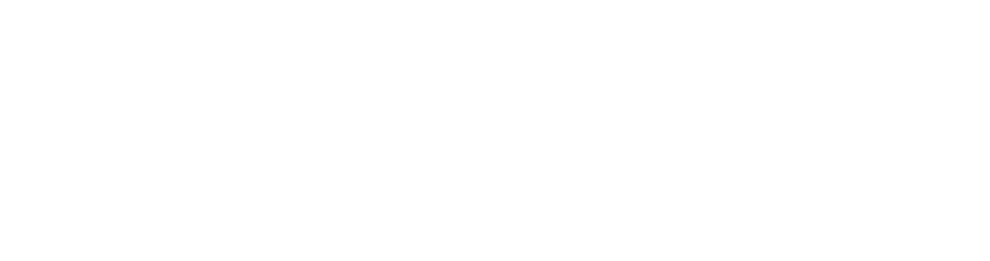 Logo Gin Ventuno